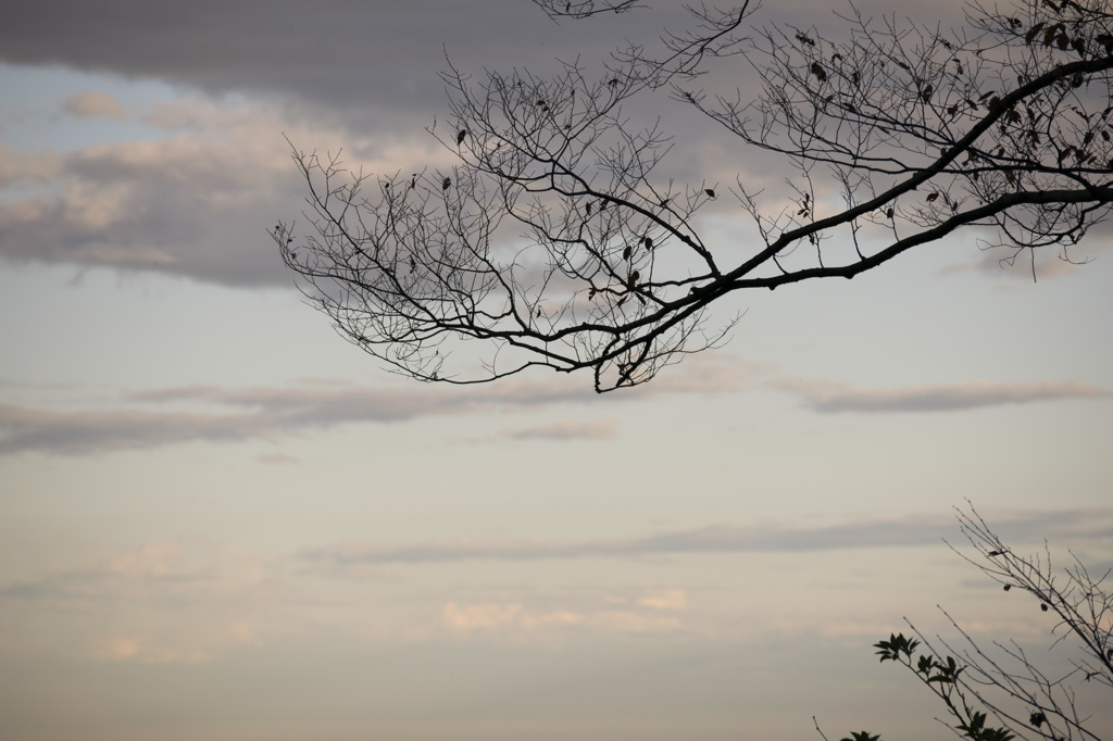 八王子の空