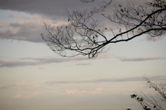 八王子の空