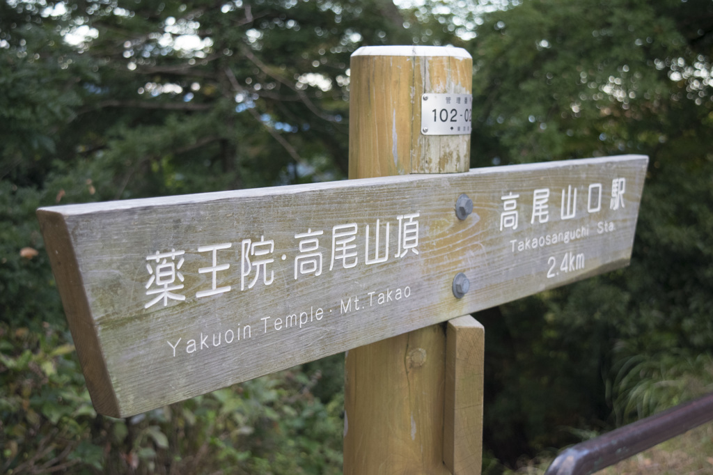 高尾山の山頂へ
