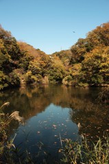 久木大池公園