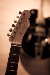 FENDER TELE