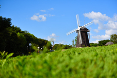 windmill