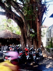 Bali Ubudにて