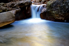 West Virginiaの秋の森