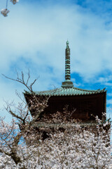 春空と五重塔
