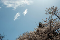 春空