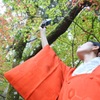 見上げた先には