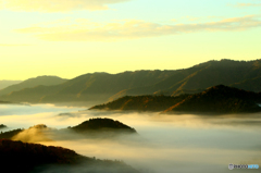 雲海