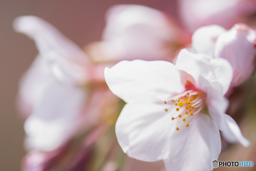 DSC_0011-Edit