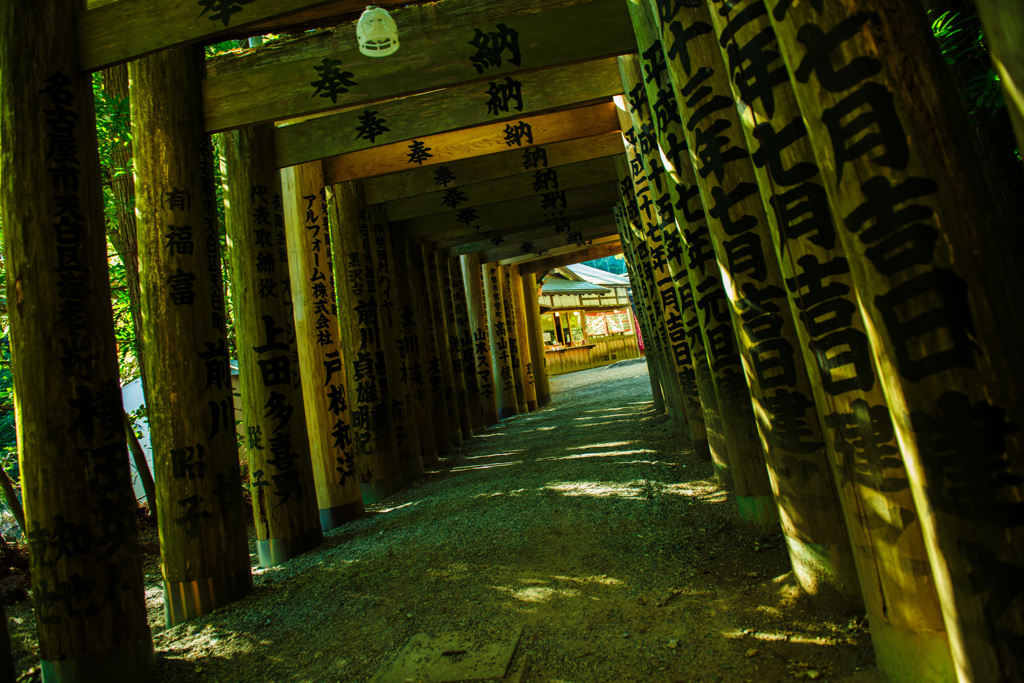 DSC_0339-Edit