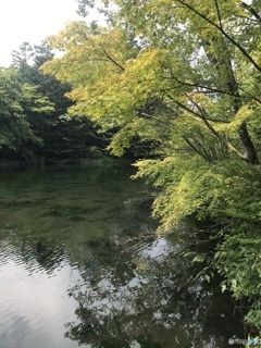 雲場池