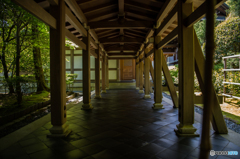 竜安寺　その２