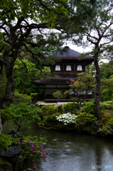 銀閣寺　その２