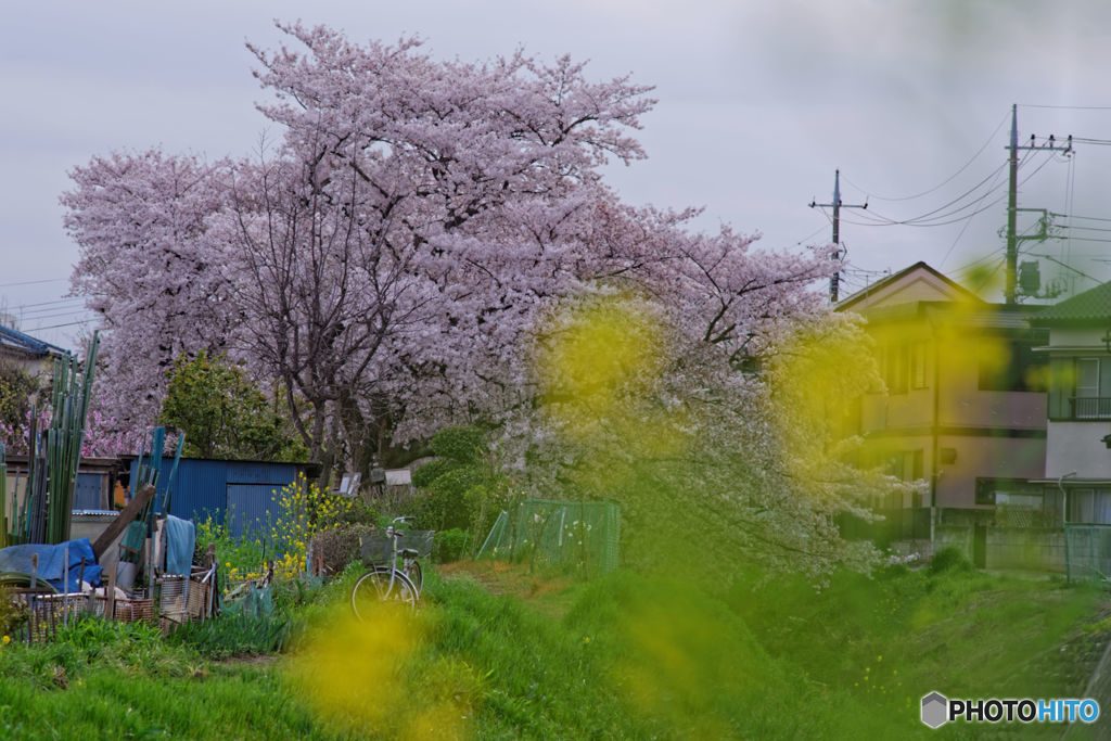 DSC_0030_DxO
