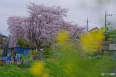 DSC_0030_DxO