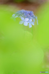 DSC_0003_DxO2
