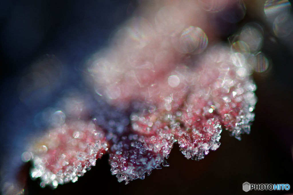 DSC_0012_DxO
