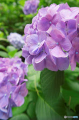 IMG_0455_DxO