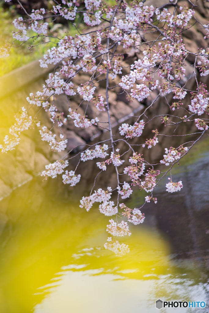 DSC_0034-Edit