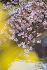 DSC_0034-Edit