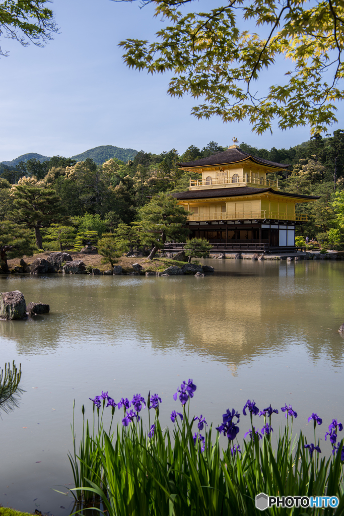 金閣寺