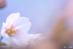 DSC_0004-Edit