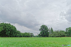 IMG_0452_DxO
