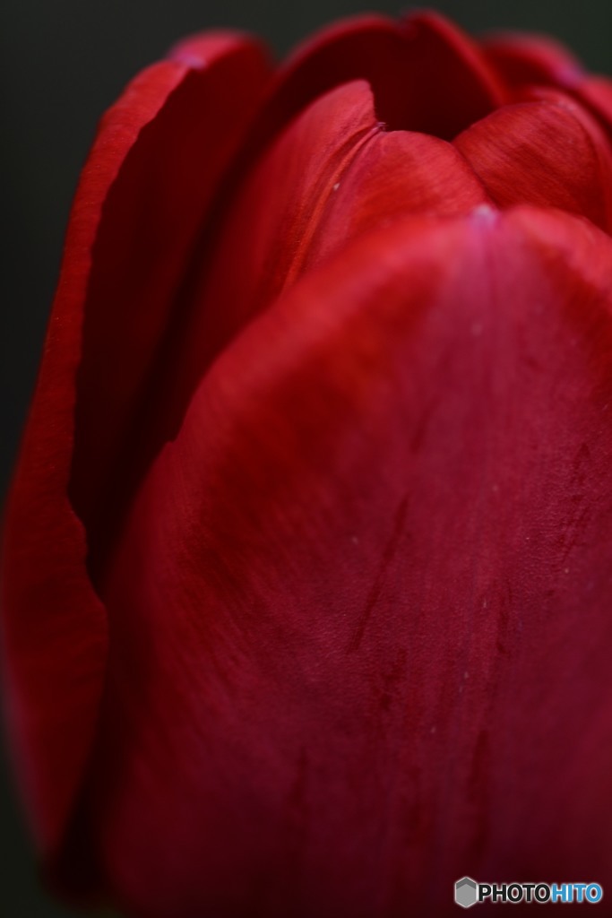 DSC_0037