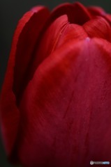 DSC_0037