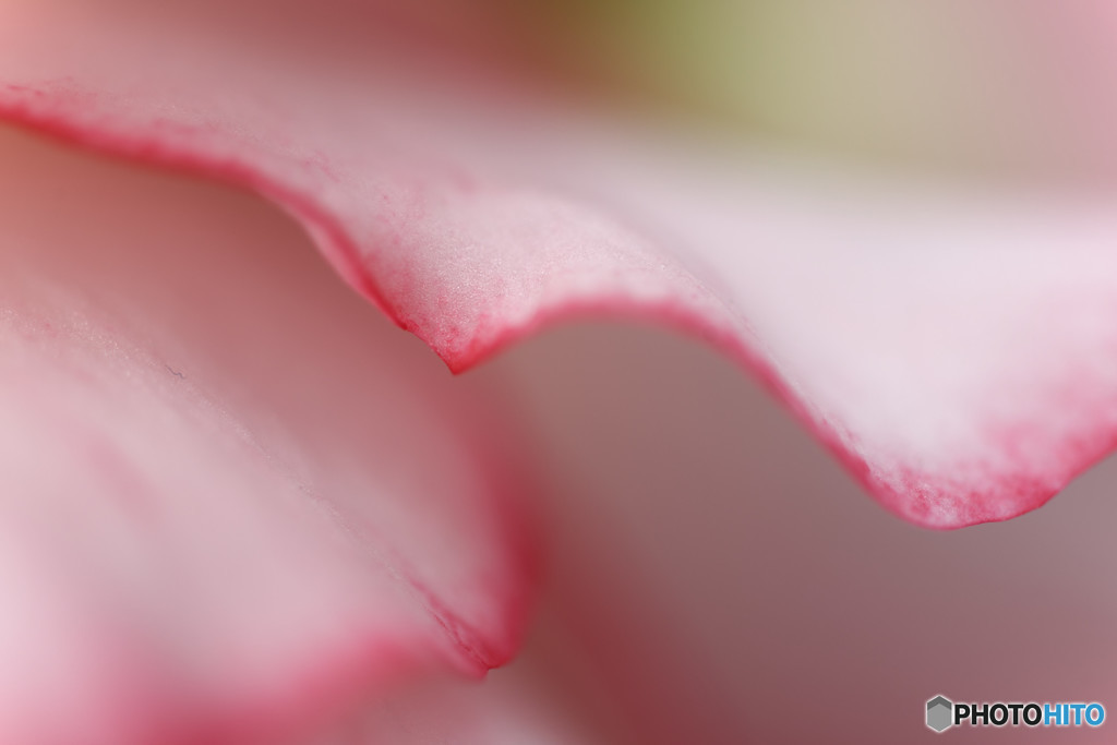 DSC_0032_DxO