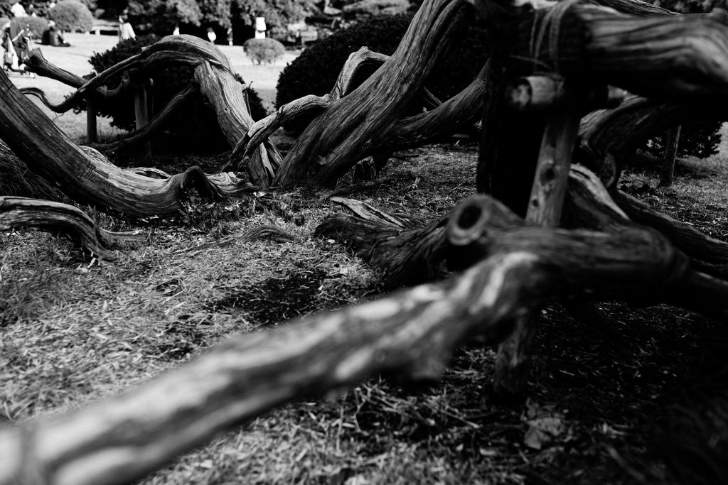 DSC_0027_DxO