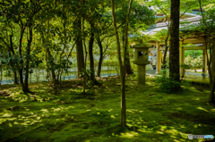 竜安寺