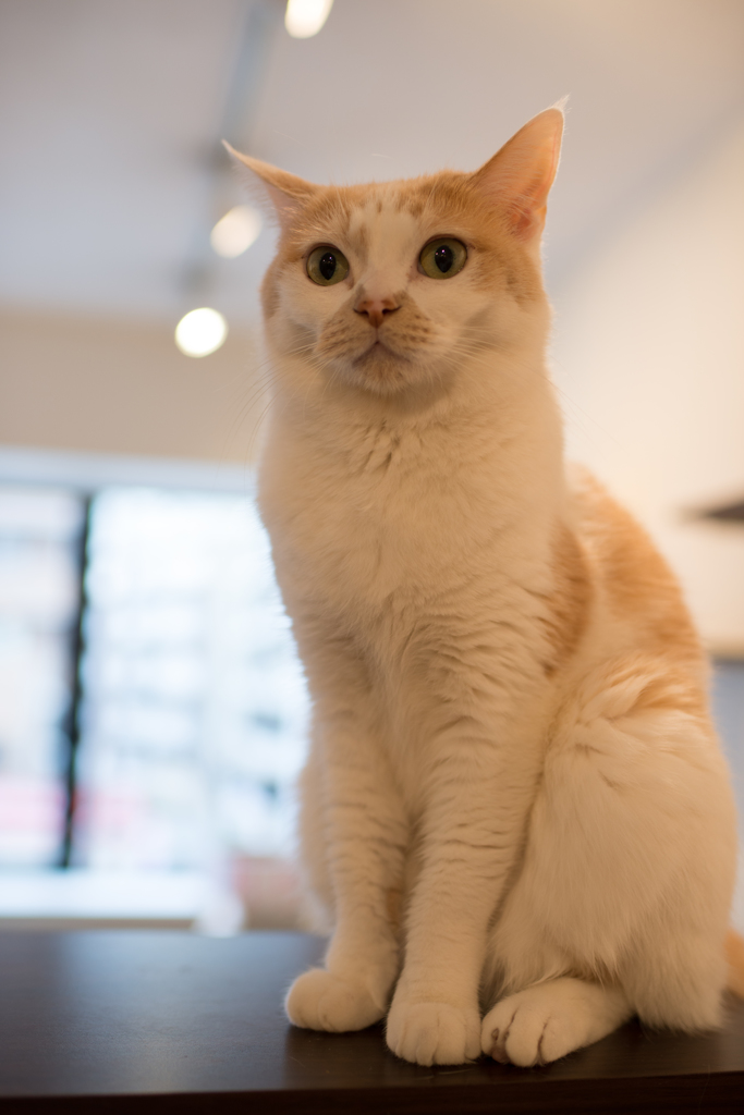DSC_0056