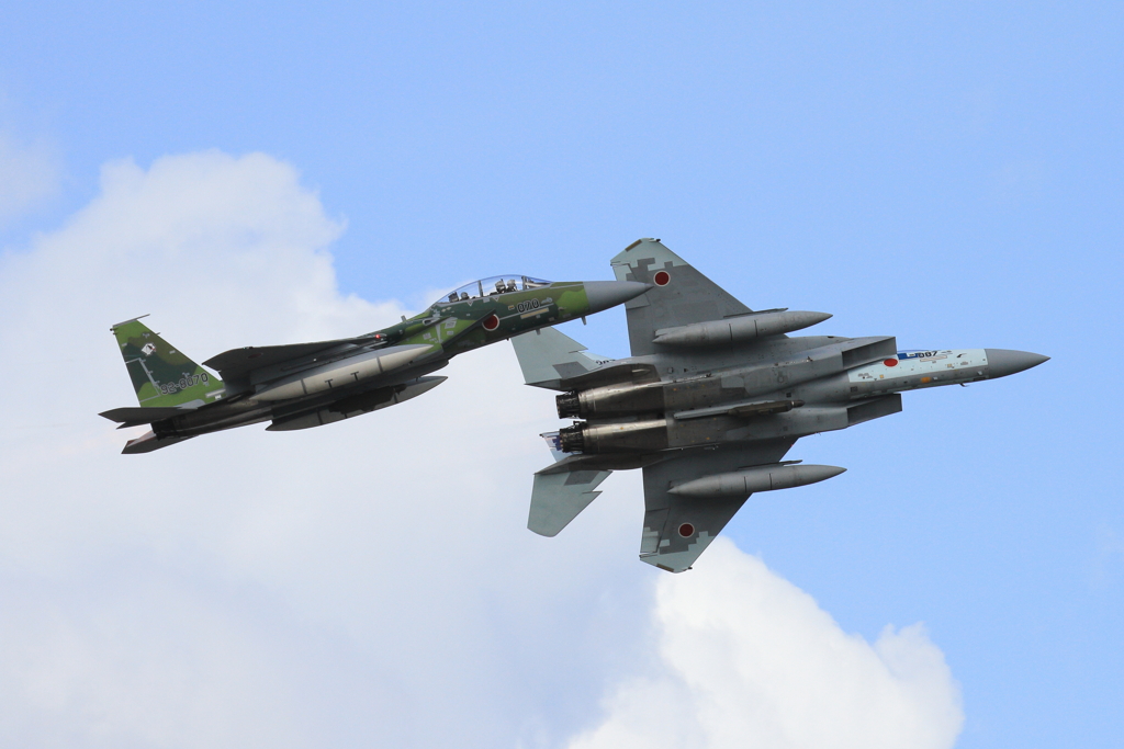 久しぶりの航空祭