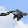 久しぶりの航空祭