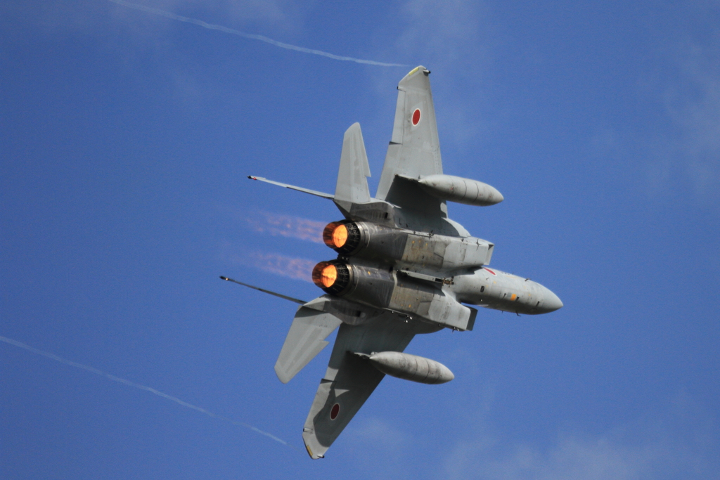 久しぶりの航空祭