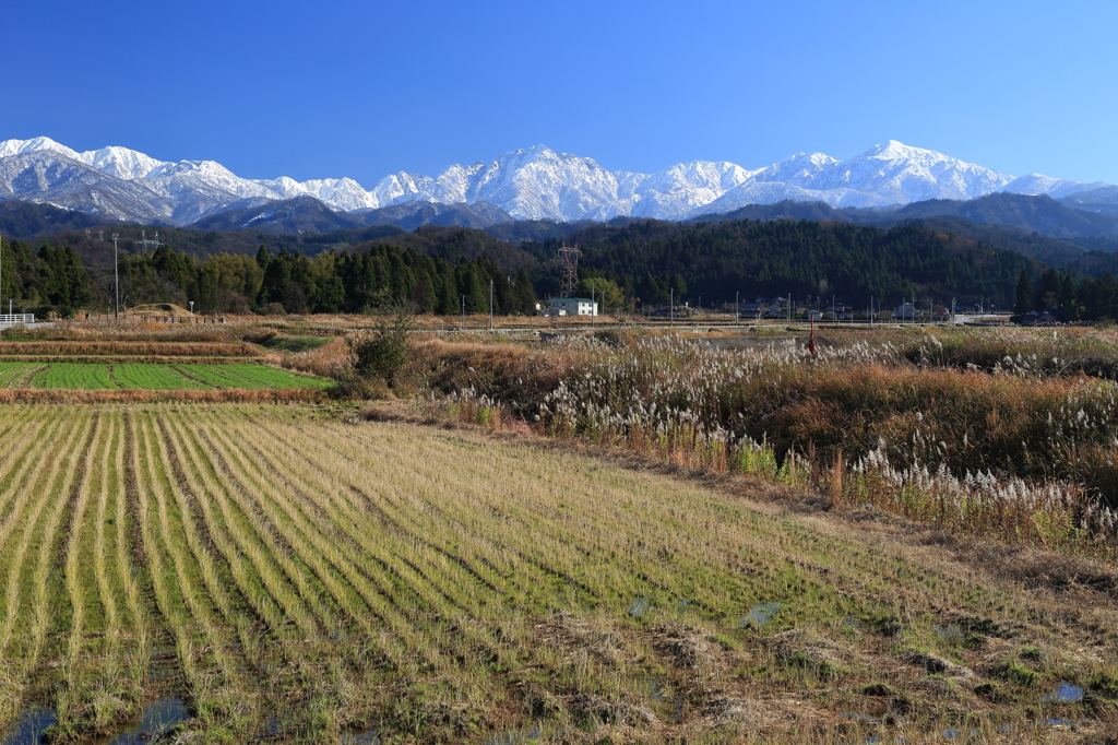 初冬の立山連峰　剱岳