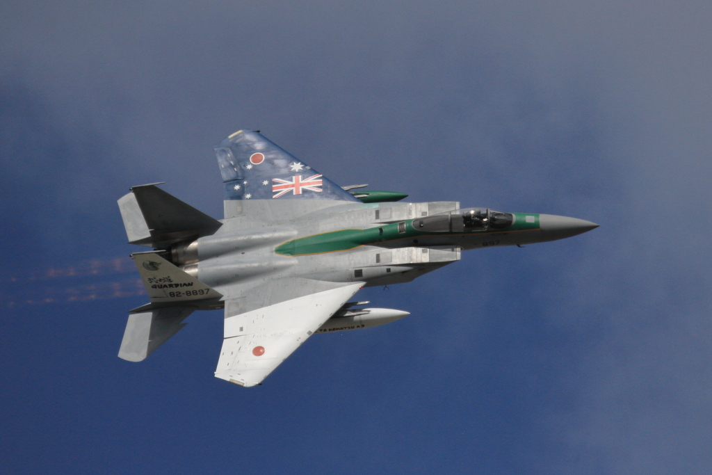 久しぶりの航空祭