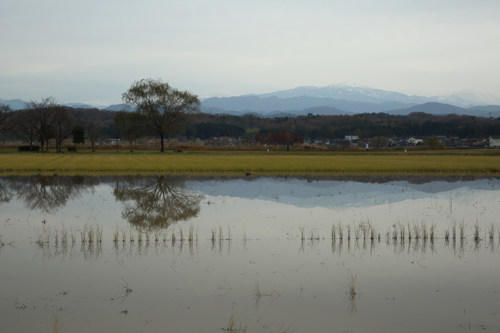 木場潟（横の水田）