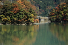 川沿いの紅葉