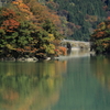川沿いの紅葉