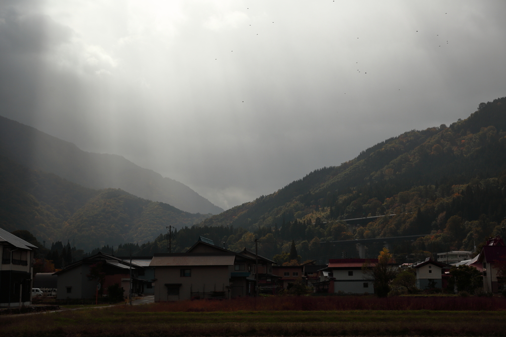 山里の秋