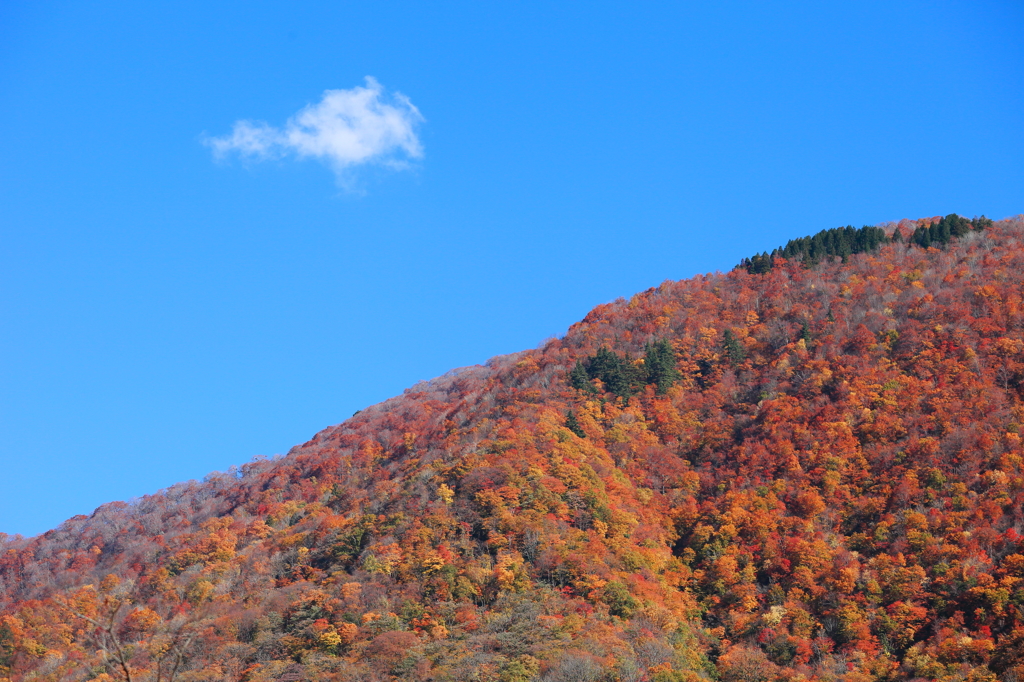 燃える山　白い雲