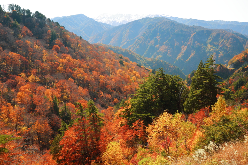 染まる山