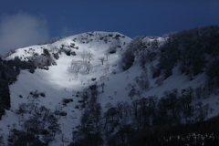 早春の山
