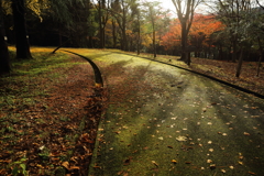 11月の公園