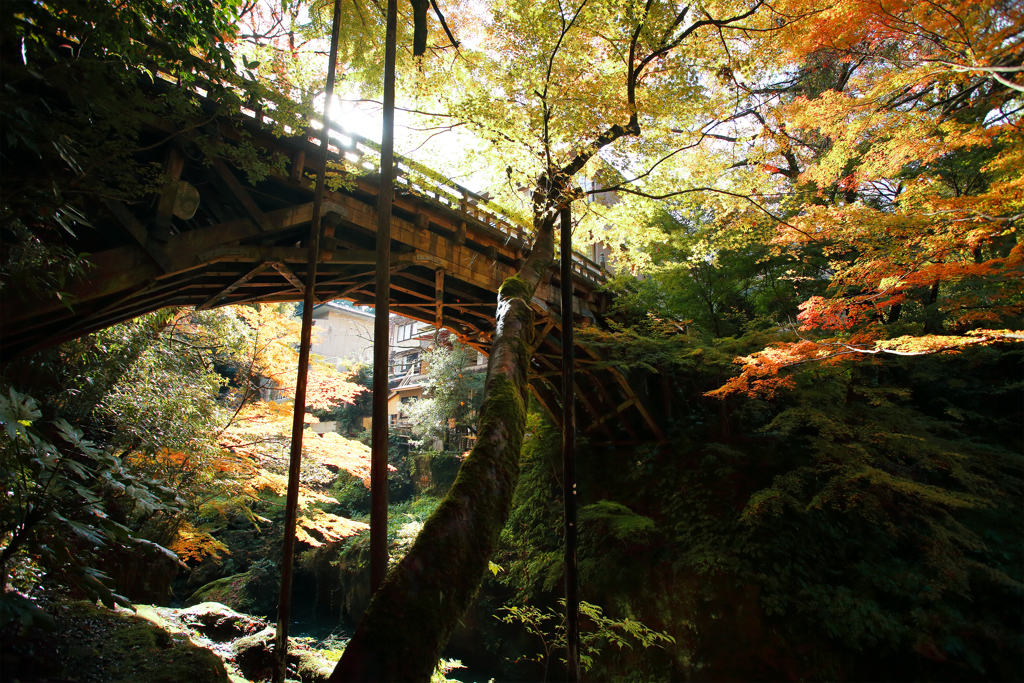 こおろぎ橋