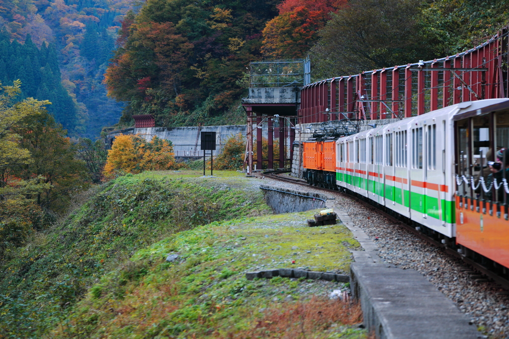 トロッコの車窓