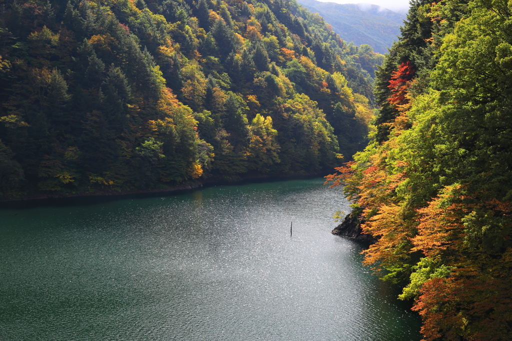 梓川の紅葉