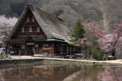 五箇山の春